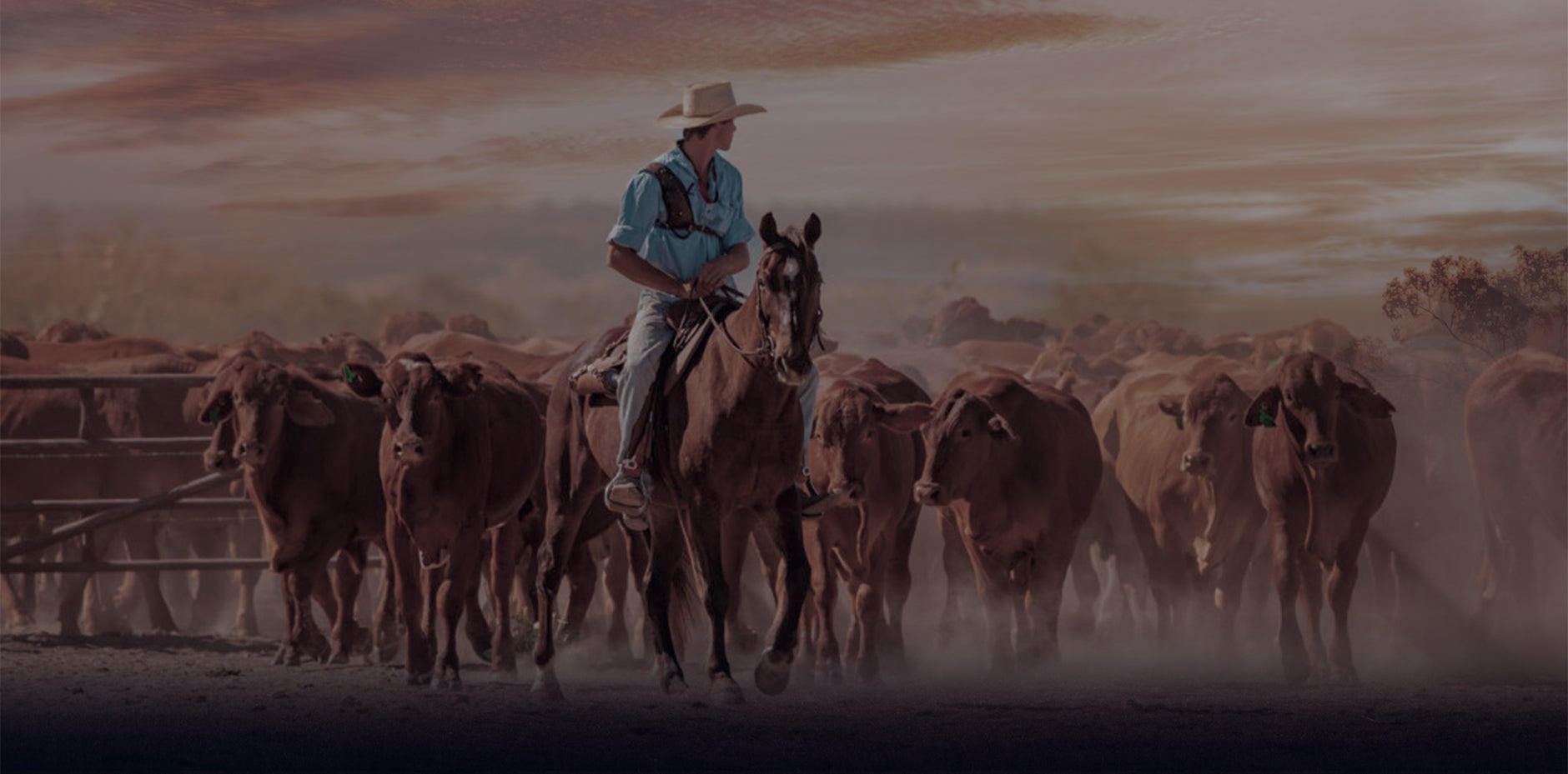 GFOUR HAT CO | Trucker Caps & Hats for Country Australia