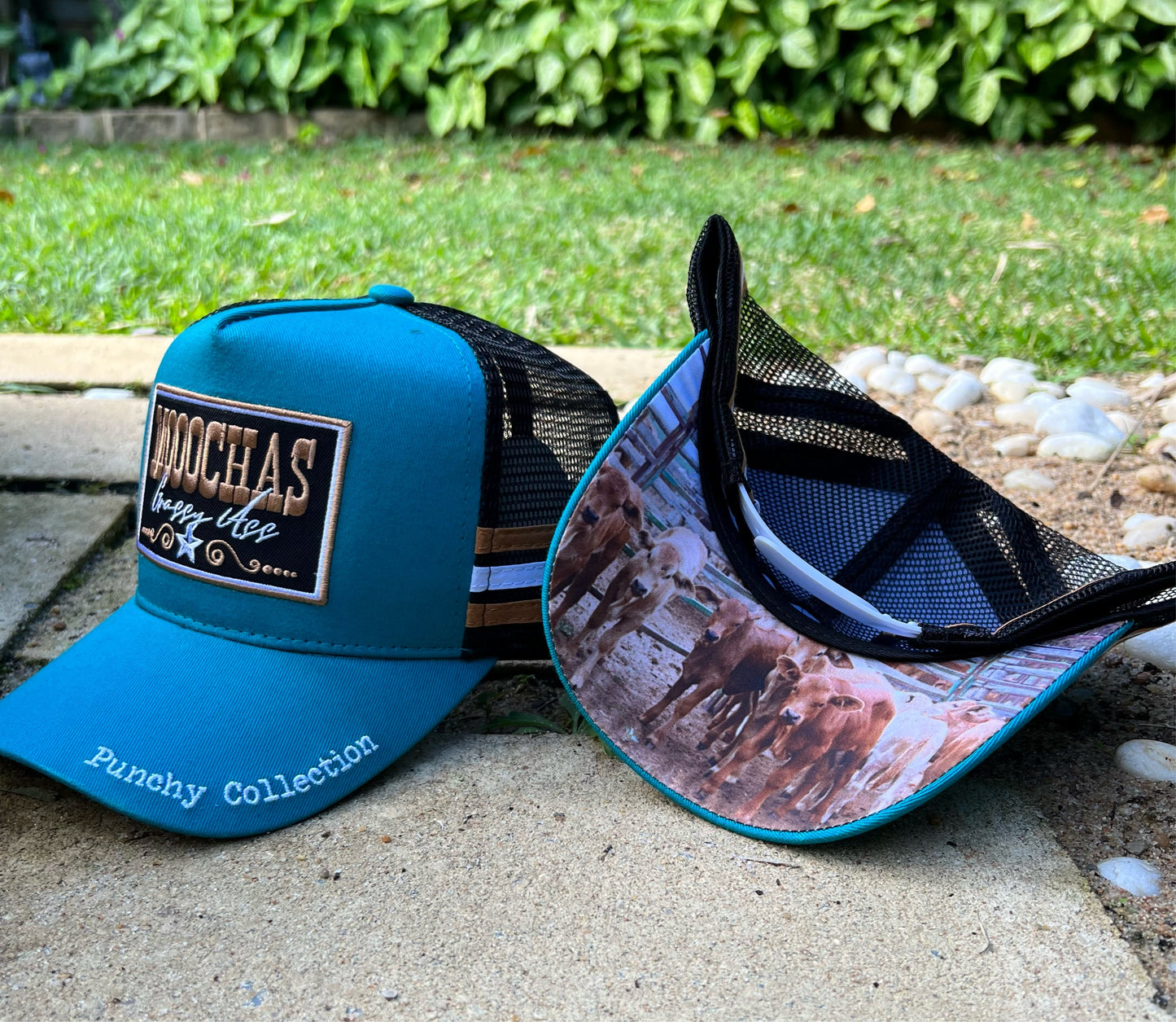 Punchy Collection - “Moochas” Turquoise - GFOUR HAT CO.
